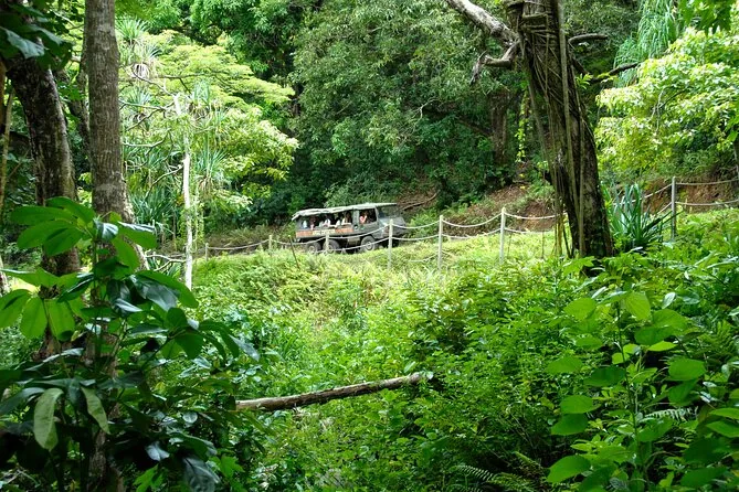 Kualoa Ranch Off-Road-Dschungel-Expedition